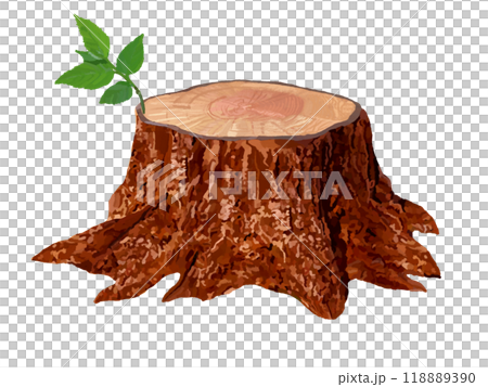 有樹芽的樹樁（活樹樁） 118889390