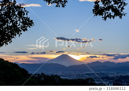 弘法山公園から見る富士山(神奈川県秦野市) 弘法山公園から見る富士山(神奈川県秦野市) 118890112