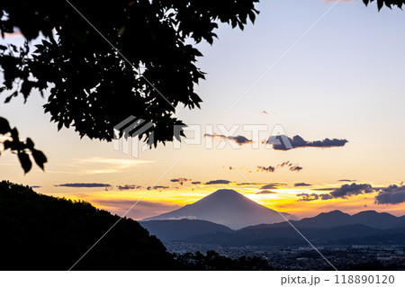 弘法山公園から見る富士山（神奈川県秦野市） 118890120