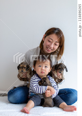 家族写真 仔犬 カニンヘンダックスフンド 家族写真 仔犬 カニンヘンダックスフンド 118890265