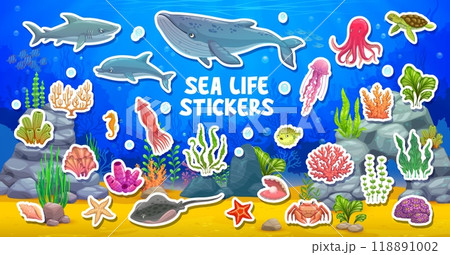 Cartoon underwater sea landscape, animals stickers with fishes, vector icons. Funny underwater and undersea cartoon characters stickers of dolphin and octopus with jellyfish and shark with whale 118891002