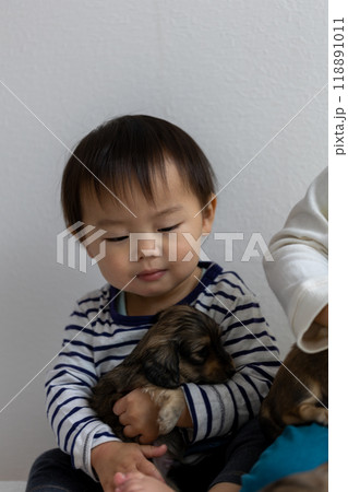 家族写真 仔犬 カニンヘンダックスフンド 家族写真 仔犬 カニンヘンダックスフンド 118891011