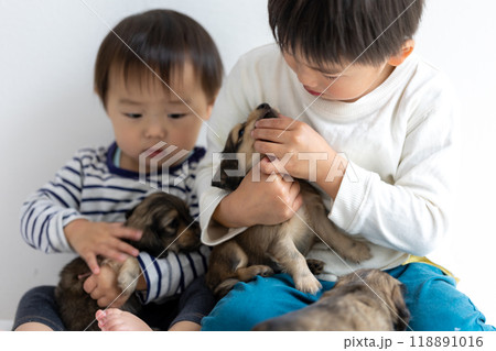 家族写真　仔犬　カニンヘンダックスフンド 118891016