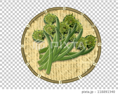 Kogomi (10 pieces) with colander 118891340