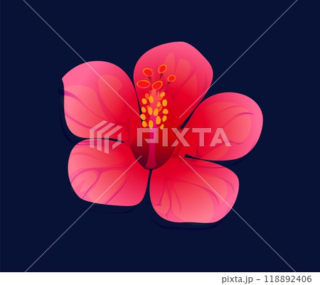 Cartoon hibiscus flower with pink and red petals emphasize tropical beauty and natural elegance. Isolated vector stunning, vibrant, red hibiscus blossom, floral element, exotic plant, tea ingredient Cartoon hibiscus flower with pink and red petals emphasize tropical beauty and natural elegance. Isolated vector stunning, vibrant, red hibiscus blossom, floral element, exotic plant, tea ingredient 118892406