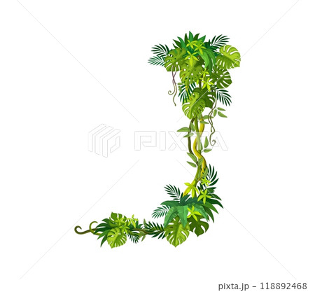 Tropical jungle rain forest vertical liana vine branch and leaves. Isolated vector lush green dense rainforest environment with climbing plants. Object of tropical flora, nature and exotic wilderness Tropical jungle rain forest vertical liana vine branch and leaves. Isolated vector lush green dense rainforest environment with climbing plants. Object of tropical flora, nature and exotic wilderness 118892468