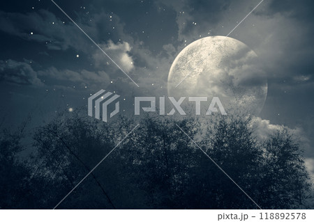 A large of full moon is in the sky above a forest. The moon is surrounded by stars and the sky is dark. Dramatic smoke or fog effect. Mockup. Copy Space 118892578