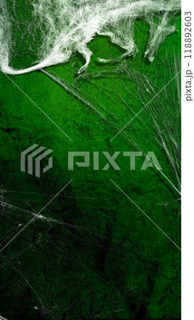 Spooky creepy cobweb spider web in the green dark room. The scene is somewhat scary and mysterious. Mockup. Copy Space Spooky creepy cobweb spider web in the green dark room. The scene is somewhat scary and mysterious. Mockup. Copy Space 118892603