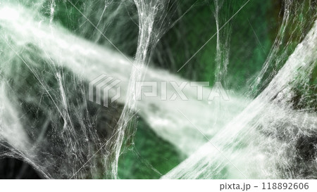 Spooky creepy cobweb spider web in the green dark room. The scene is somewhat scary and mysterious. Mockup. Copy Space 118892606