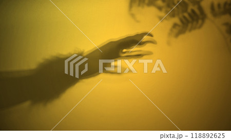 Shade of werewolf hands with fur and black claws on a yellow background. The hand is reaching out, and the shadow is dark. Scary claw of werewolf, wolfman, or animal monster 118892625