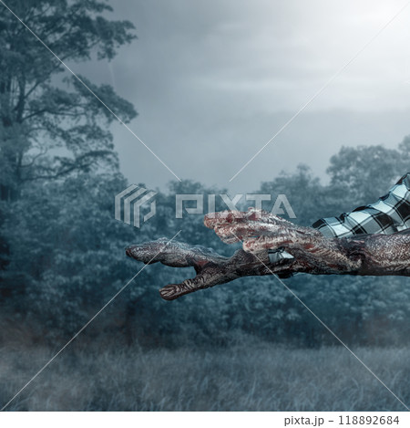 Monster hands in plaid shirt rising out with moonlight background. Scene has dark and scary. The hand appearing to be a monster, devil, evil, satan, or zombie hands Monster hands in plaid shirt rising out with moonlight background. Scene has dark and scary. The hand appearing to be a monster, devil, evil, satan, or zombie hands 118892684
