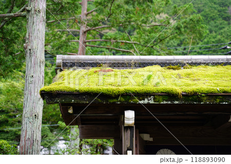 苔に覆われた門の屋根 苔に覆われた門の屋根 118893090
