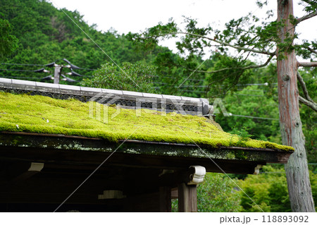 苔に覆われた門の屋根 苔に覆われた門の屋根 118893092