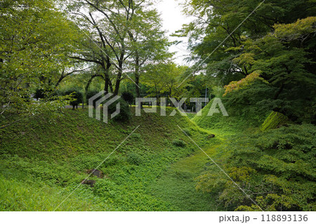 長篠城跡 長篠城跡 118893136