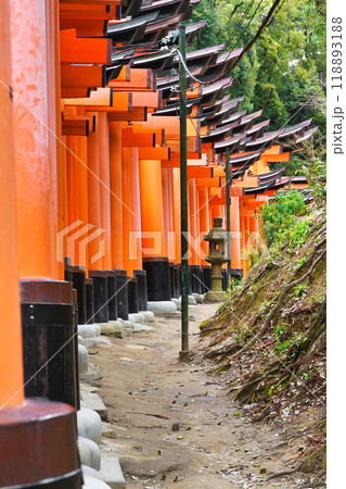 京都　伏見稲荷大社　千本鳥居（京都府京都市伏見区） 118893188
