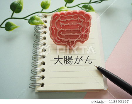 腸、大腸の模型イメージと大腸がんの文字 腸、大腸の模型イメージと大腸がんの文字 118893197