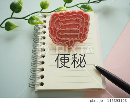 腸、大腸の模型イメージと便秘の文字 腸、大腸の模型イメージと便秘の文字 118893198