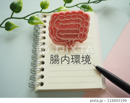 腸、大腸の模型イメージと腸内環境の文字 腸、大腸の模型イメージと腸内環境の文字 118893199