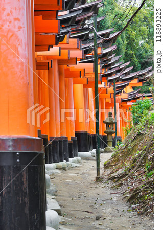 京都 伏見稲荷大社 千本鳥居(京都府京都市伏見区) 京都 伏見稲荷大社 千本鳥居(京都府京都市伏見区) 118893225