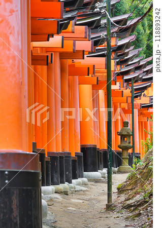 京都 伏見稲荷大社 千本鳥居(京都府京都市伏見区) 京都 伏見稲荷大社 千本鳥居(京都府京都市伏見区) 118893242