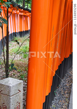 京都 伏見稲荷大社 千本鳥居(京都府京都市伏見区) 京都 伏見稲荷大社 千本鳥居(京都府京都市伏見区) 118893296