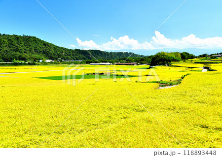 韮崎市清哲町折居より七里岩／上祖母石方面を望む(山梨県韮崎市)【2024.9】 118893448
