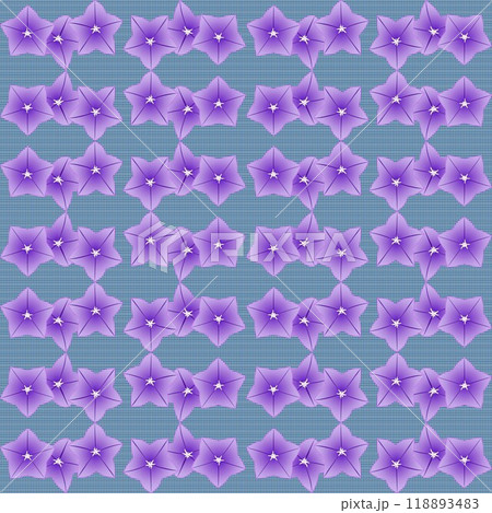 キキョウの壁紙イラスト キキョウの壁紙イラスト 118893483