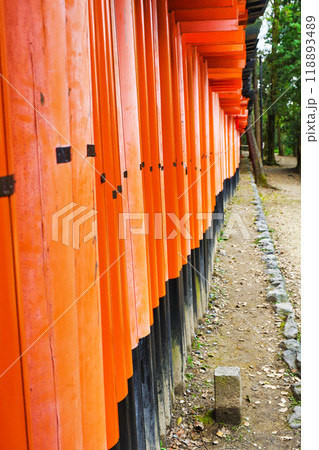 京都 伏見稲荷大社 千本鳥居(京都府京都市伏見区) 京都 伏見稲荷大社 千本鳥居(京都府京都市伏見区) 118893489