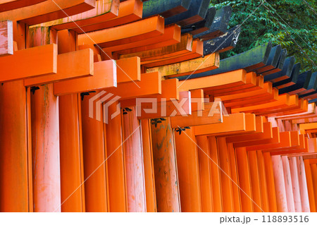 京都 伏見稲荷大社 千本鳥居(京都府京都市伏見区) 京都 伏見稲荷大社 千本鳥居(京都府京都市伏見区) 118893516