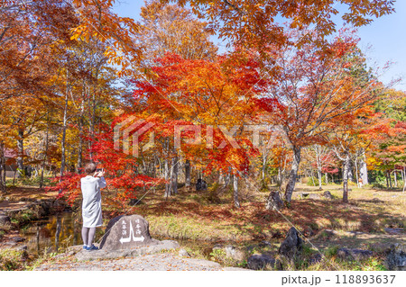 岐阜県郡上市　秋のひるがの高原分水嶺公園で紅葉の写真を撮る女性 118893637