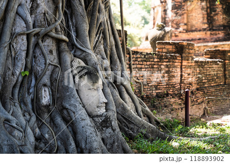 アユタヤ遺跡　ワットマハタート 118893902