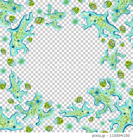 Microworld of bacteria, microbes and amoebas....のイラスト素材 [118894180] - PIXTA