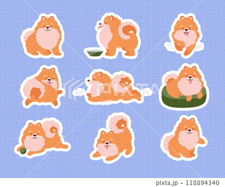 Set of Pomeranian Spitz. 118894340