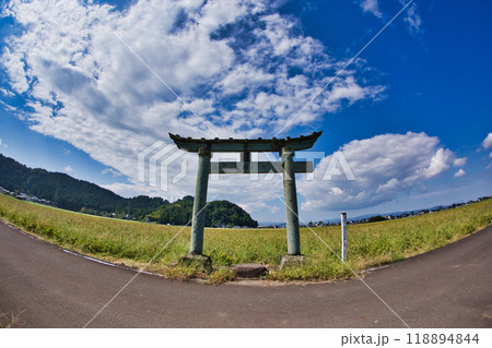 一乗谷朝倉氏遺跡ー彼岸花の秋 一乗谷朝倉氏遺跡ー彼岸花の秋 118894844