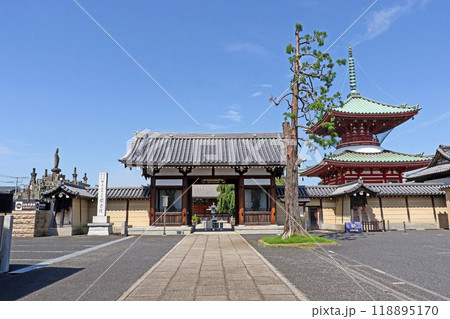 円乗院（さいたま） 118895170