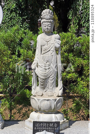 円乗院(さいたま) 円乗院(さいたま) 118895324