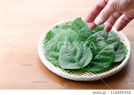 栄養を豊富に含む緑黄色野菜 つるむらさき 118895438