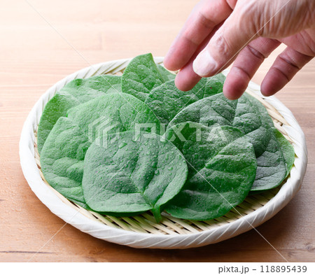 栄養を豊富に含む緑黄色野菜 つるむらさき 118895439