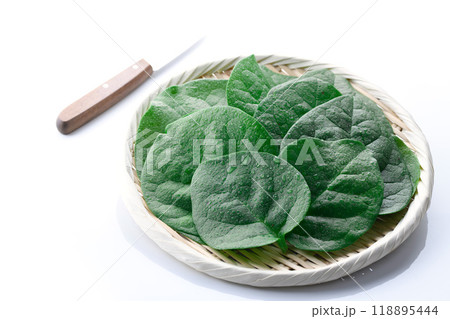 栄養を豊富に含む緑黄色野菜 つるむらさき 118895444