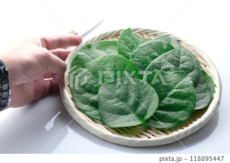 栄養を豊富に含む緑黄色野菜 つるむらさき 118895447