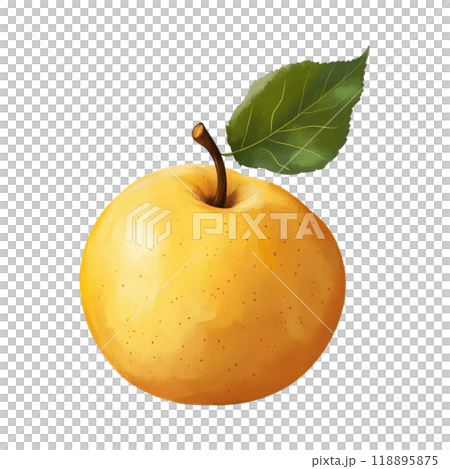 Pear cut-out illustration 118895875