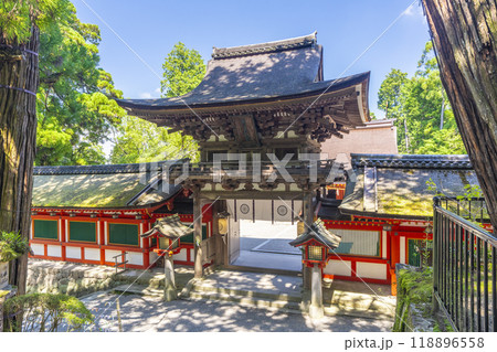 石上神宮 楼門(奈良県天理市) 石上神宮 楼門(奈良県天理市) 118896558