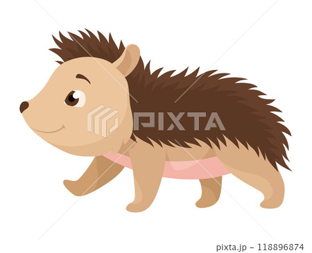 Lovely hedgehog. Cute funny wild forest animal. Prickly cartoon character. Vector isolated illustration 118896874