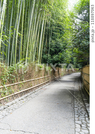京都嵐山　竹林の小径 118897063