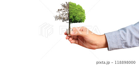 Humans hold light bulbs in hand innovative technology and creativity Humans hold light bulbs in hand innovative technology and creativity 118898000