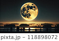 秋の満月 118898072
