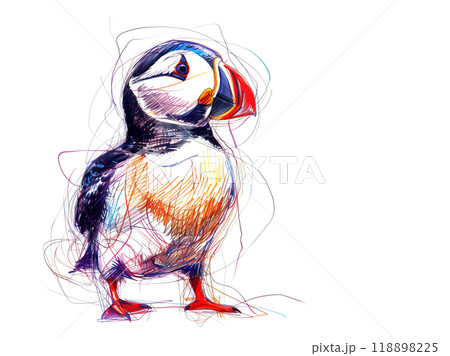 A colorful, stylized drawing of a puffin, captured with playful, energetic lines. Perfect for projects that evoke joy, whimsy, and coastal charm. Animlas Art. 118898225