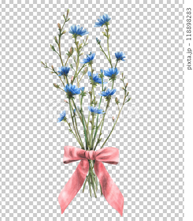 Wildflower bouquet with Field plant tied with a red bow. Blue chicory flowers with meadow green herbs and buds. Summer card floral clipart. Watercolor hand drawn illustration. Isolated from background Wildflower bouquet with Field plant tied with a red bow. Blue chicory flowers with meadow green herbs and buds. Summer card floral clipart. Watercolor hand drawn illustration. Isolated from background 118898283