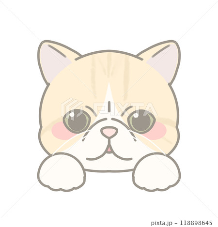 エキゾチックショートヘアのイラスト 118898645