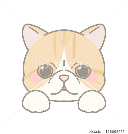 エキゾチックショートヘアのイラスト 118898655